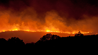A hill burns during a wildfire, with a fiery orange sky and a dark tree line in the foreground.