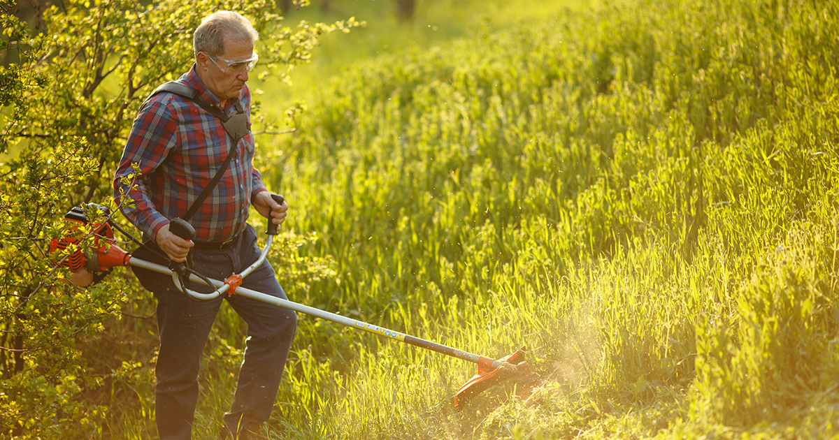 Protect Your Property from Wildfires with Defensible Space