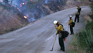A wildfire response crew works at the scene of a recent wildfire.